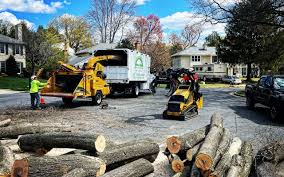 Best Tree Health Inspection  in Sebastopol, CA