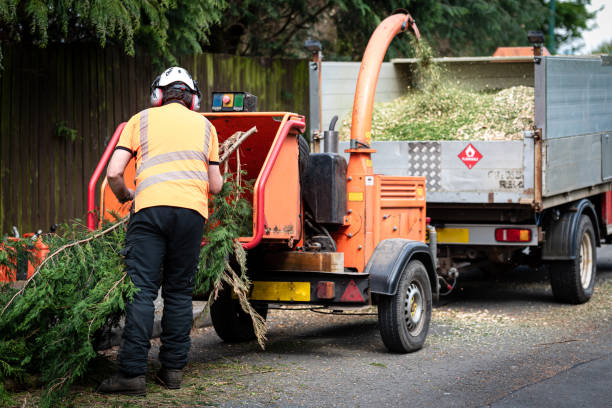 Best Pest Control for Lawns  in Sebastopol, CA